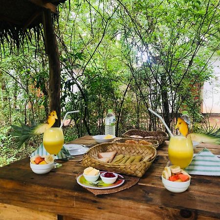 Bed and Breakfast Grand Freedom Sigiriya Exterior foto