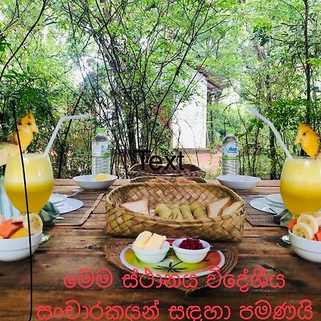 Bed and Breakfast Grand Freedom Sigiriya Exterior foto