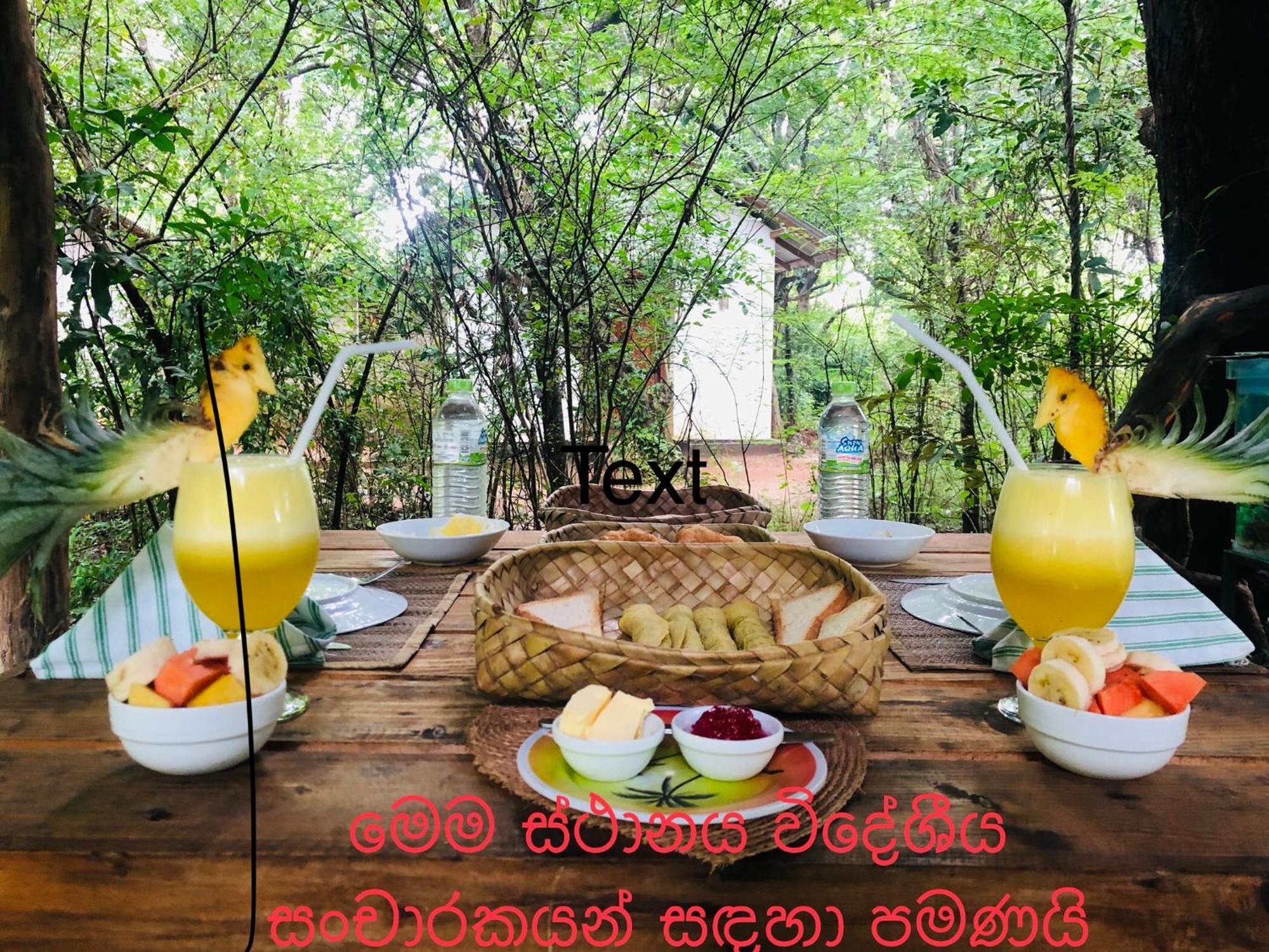 Bed and Breakfast Grand Freedom Sigiriya Exterior foto