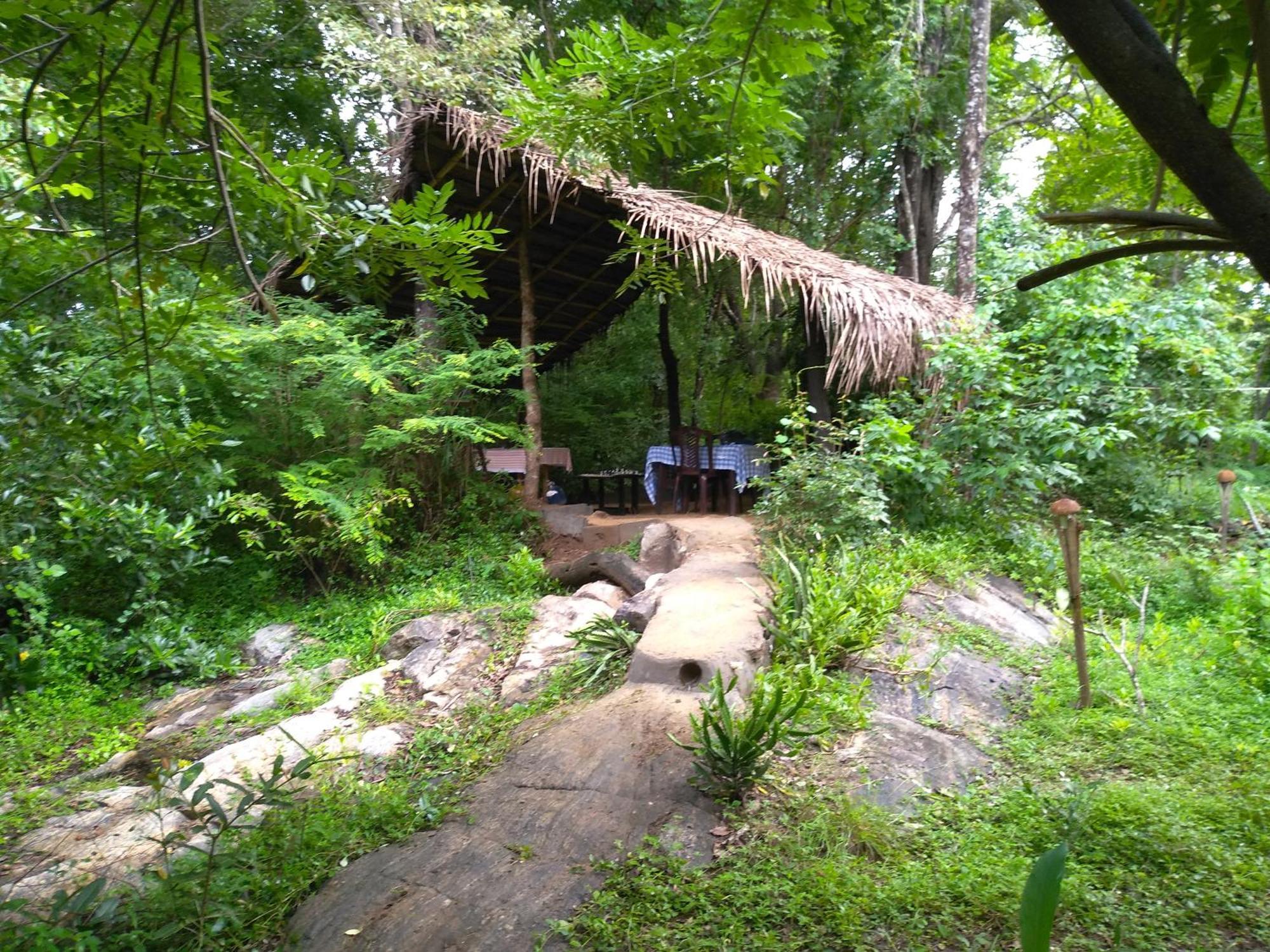 Bed and Breakfast Grand Freedom Sigiriya Zimmer foto