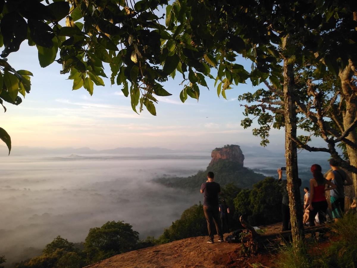 Bed and Breakfast Grand Freedom Sigiriya Exterior foto